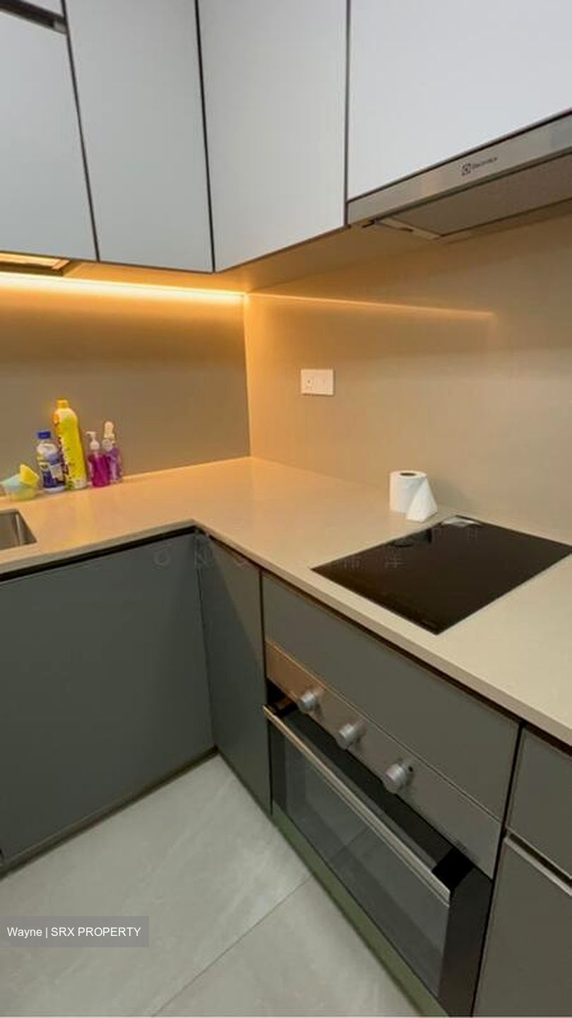 Normanton Park (D5), Apartment #497190731